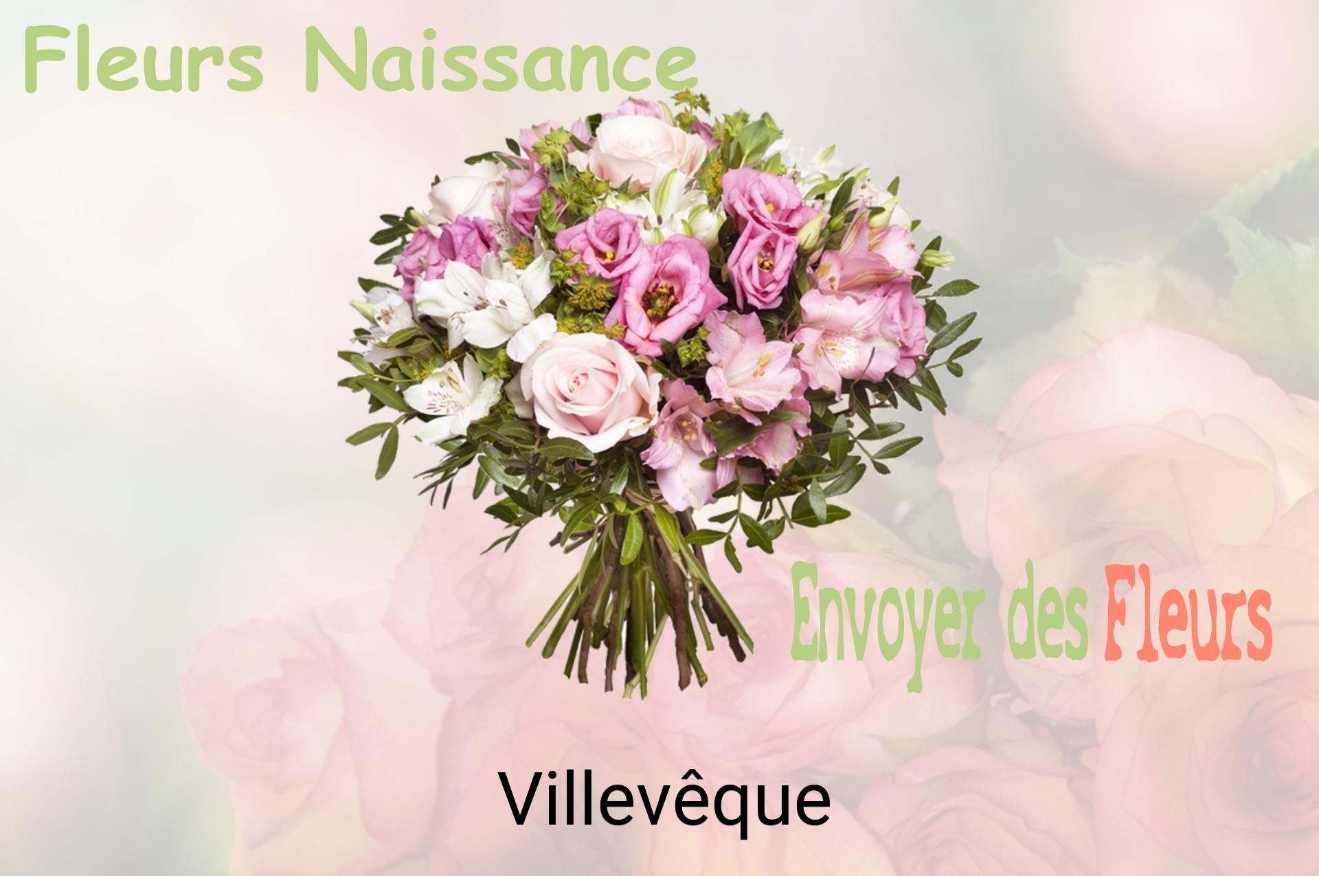 Bouquet de fleurs de naissance livré à Villevêque