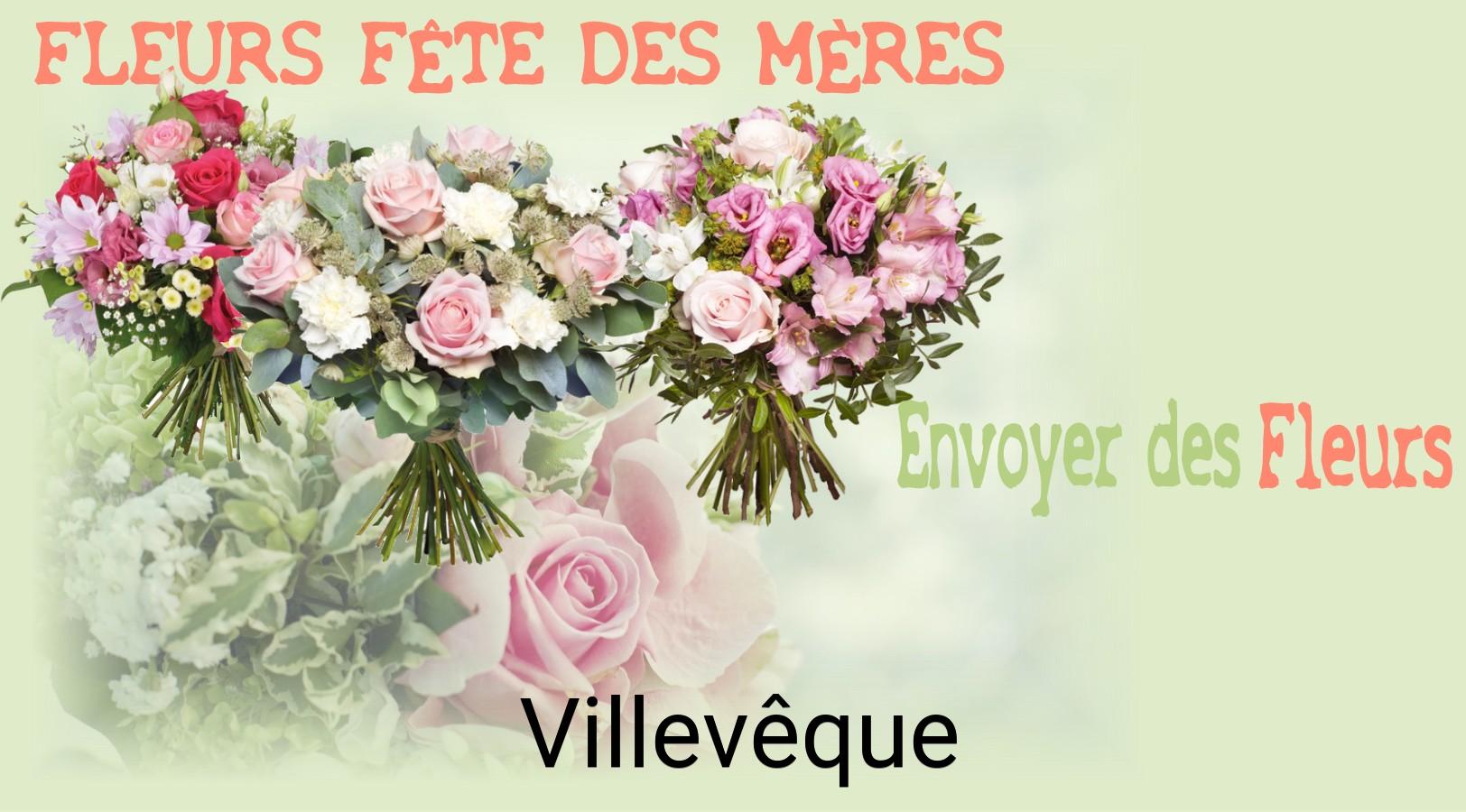 Bouquet de Fête des Mères livré à Villevêque